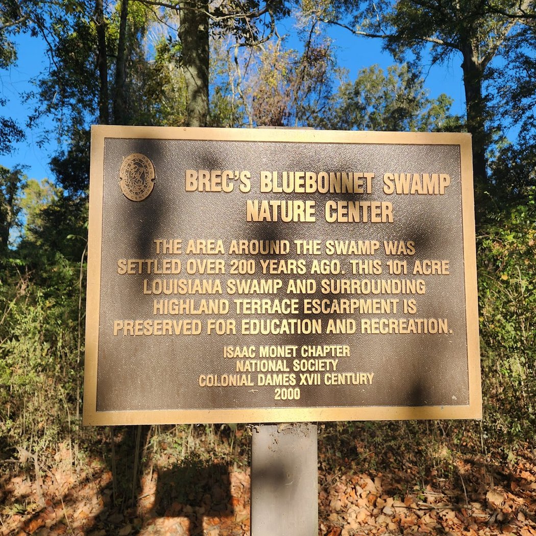 BREC's Bluebonnet Swamp Nature Center 3