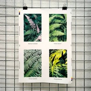 Workshop Serigrafia fotográfica em quadricromia