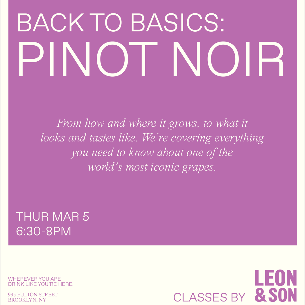 Back to Basics: Pinot Noir 1