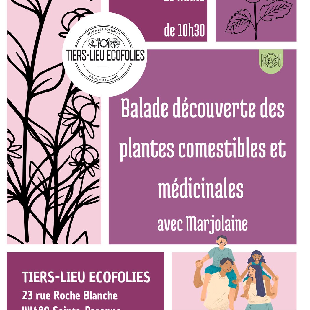 Balade découverte des plantes comestibles et médicinales 1
