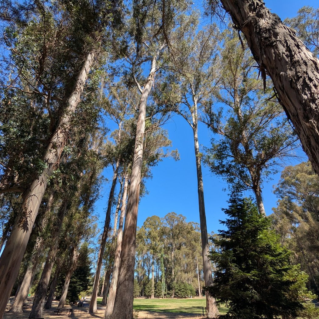 Kennedy Grove Regional Recreation Area 3