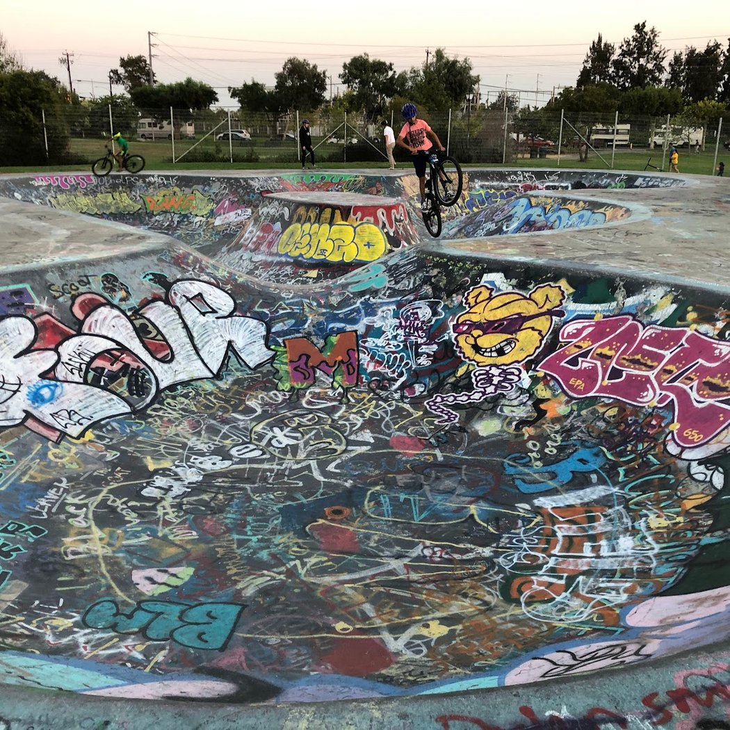 Skatepark | Greer Park 2