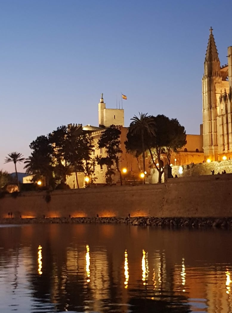 Palma 3