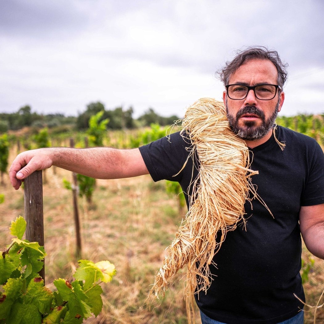 The Wonders of Portuguese Wines - Free Tasting 1