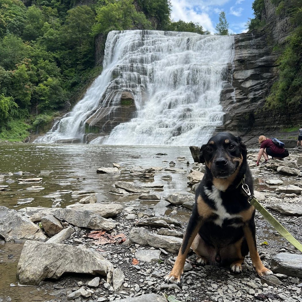 Ithaca Falls 2