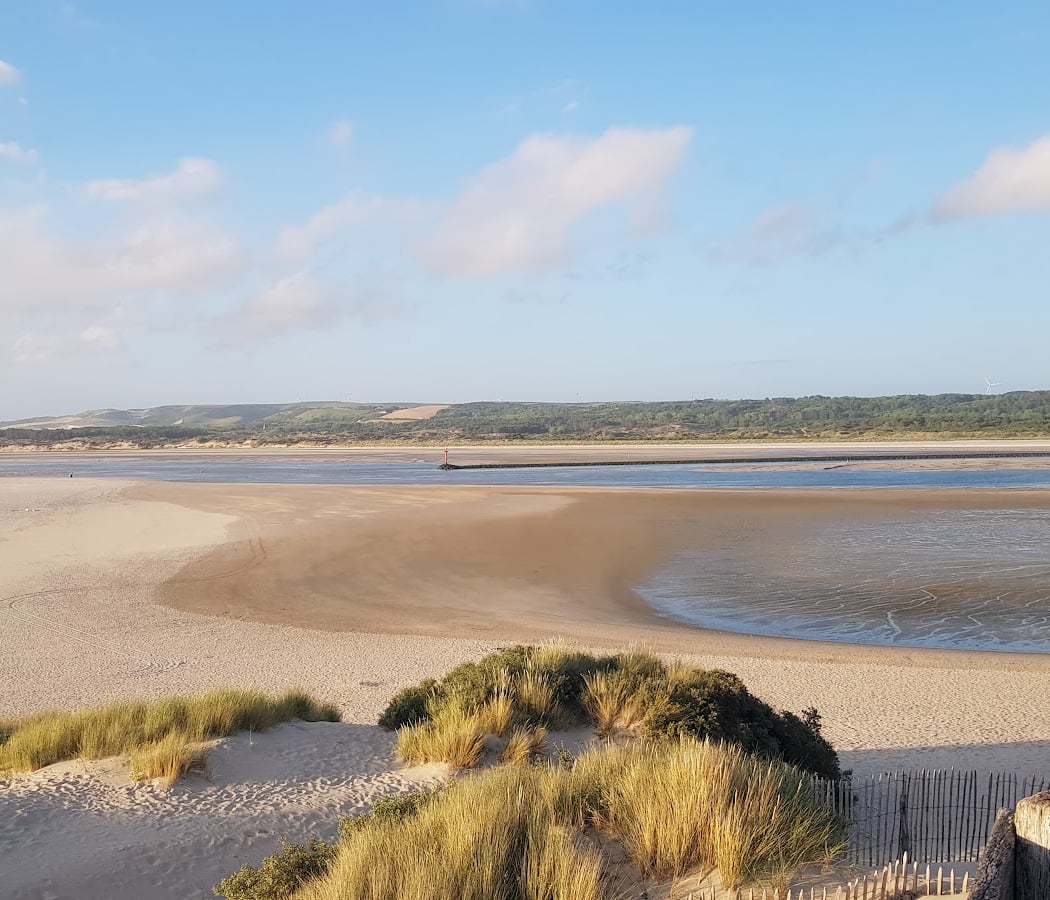 Réserve naturelle nationale de la baie de Canche 3
