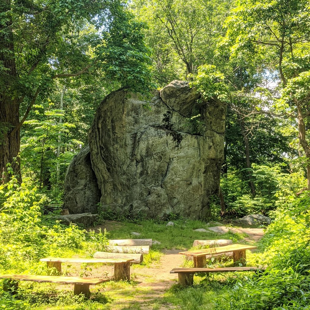 Summer Solstice Forest Bathing and Sound Healing 1
