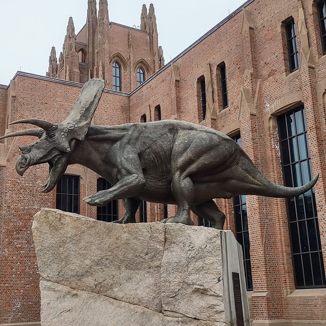 Yale Peabody Museum 3