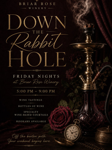 Down the Rabbit Hole 2