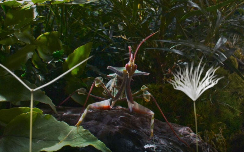 PLANÈTES 1