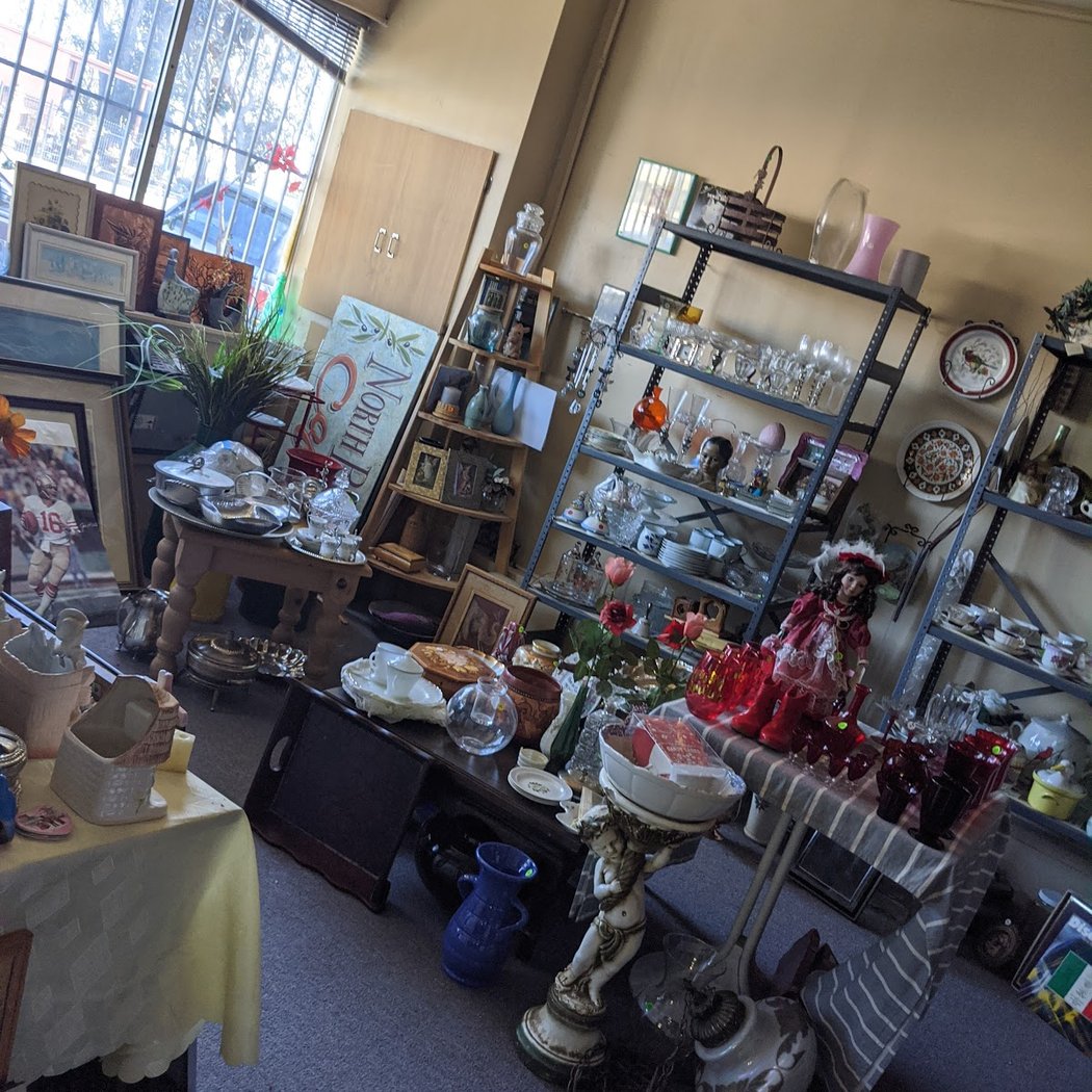 Little Shop of Hoarders SF 3