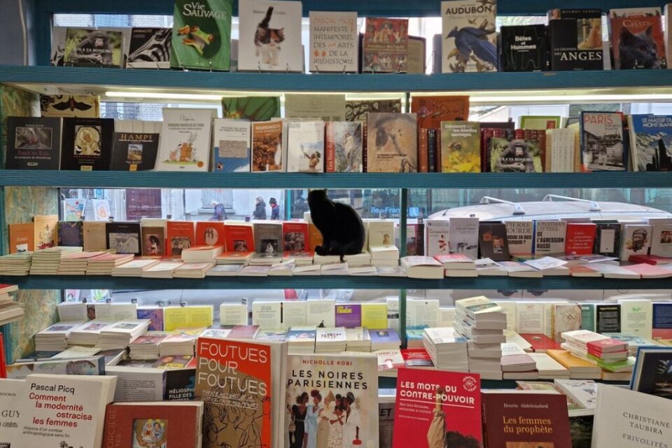 L'Îlot Livres 1