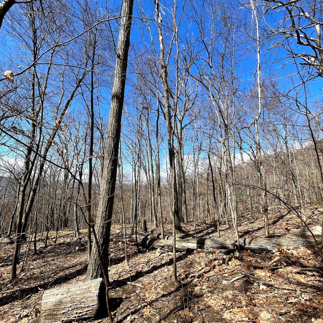 Sugarloaf Mountain Trailhead 3