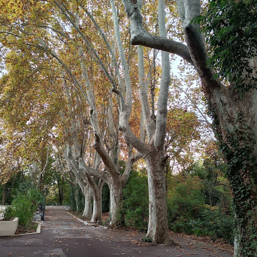 Parc François Billoux 1