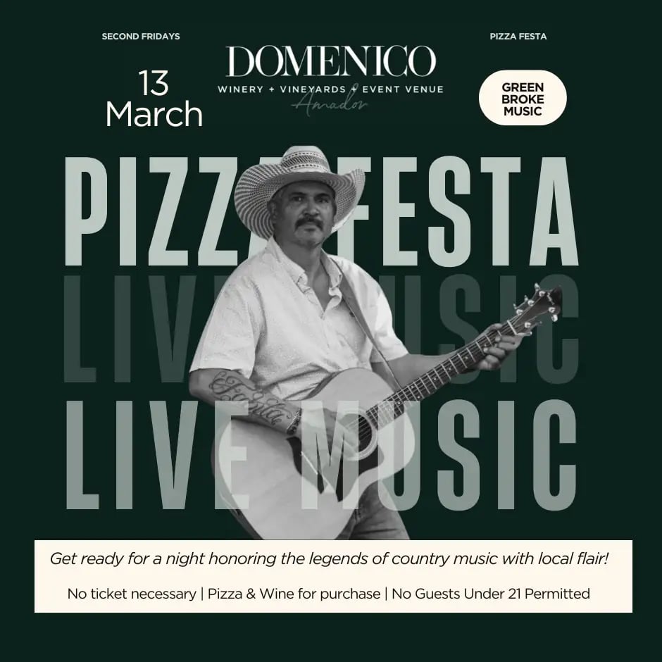 Pizza & Music Festa 1