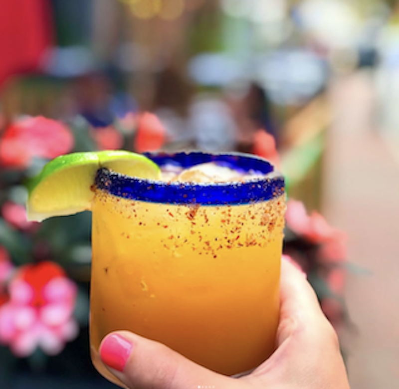 Tequila Mockingbird 1