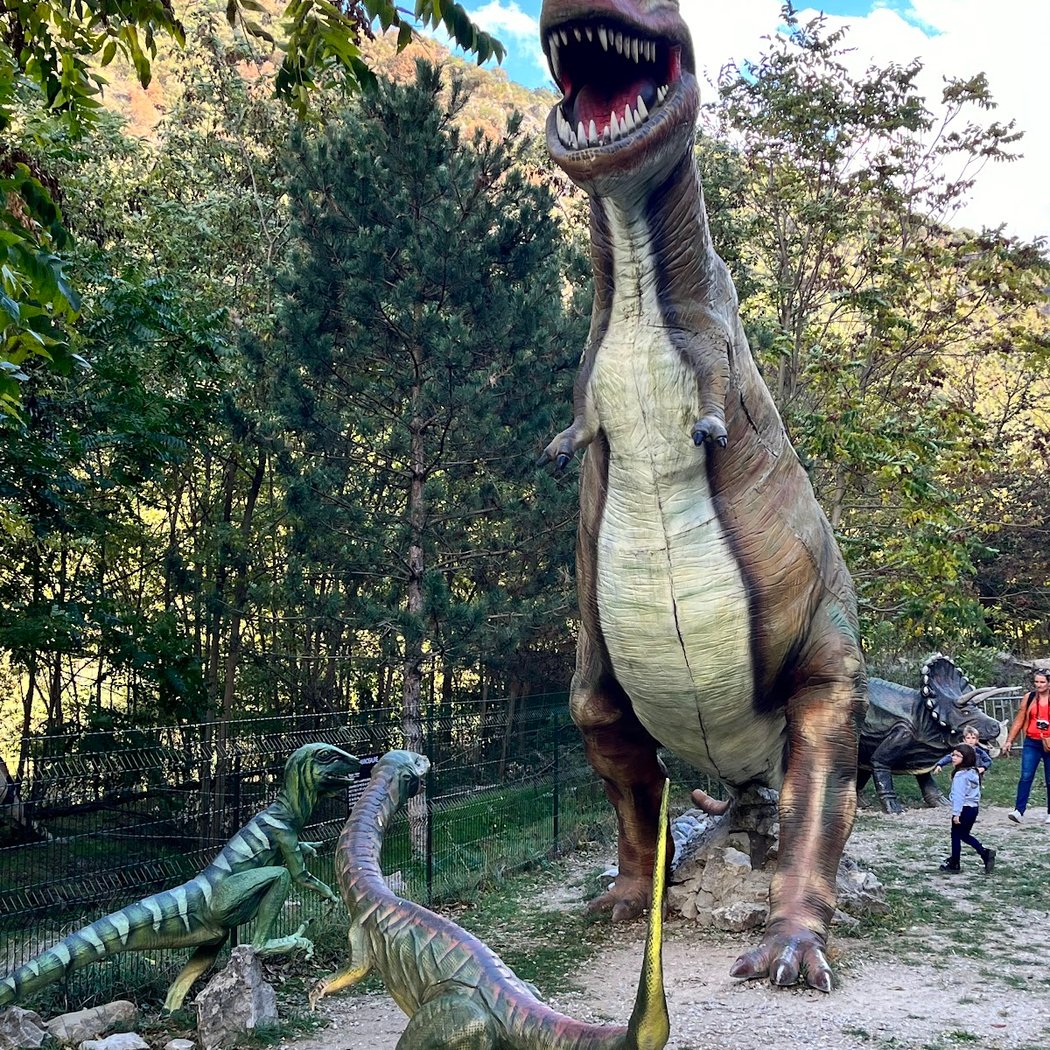Le coin des dinos 1