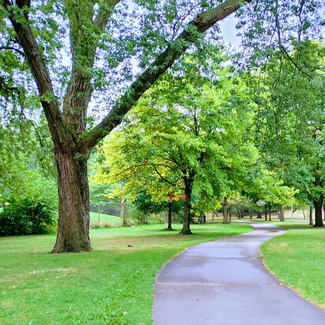 Warren (Laurence) Park 1