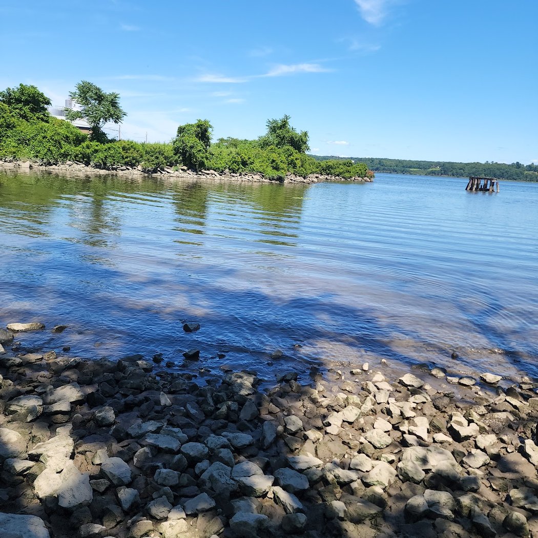 Kingston Point Dog Park 3