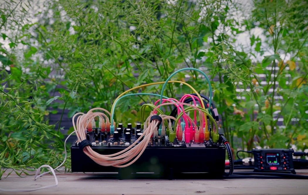 Botanical Soundscape 3