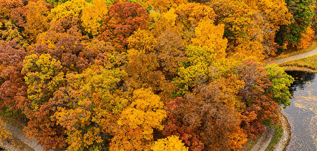 Kensington Metropark 1