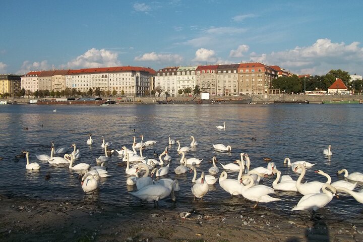 6 hours Musical Prague Private Tour by car