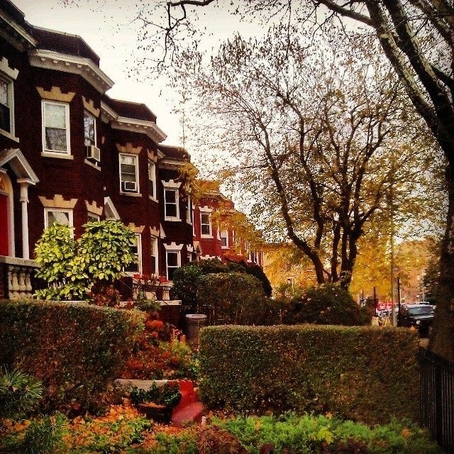 Windsor Terrace 1