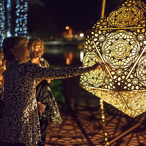Patterns in Nature: LightForm HYBYCOZO 4