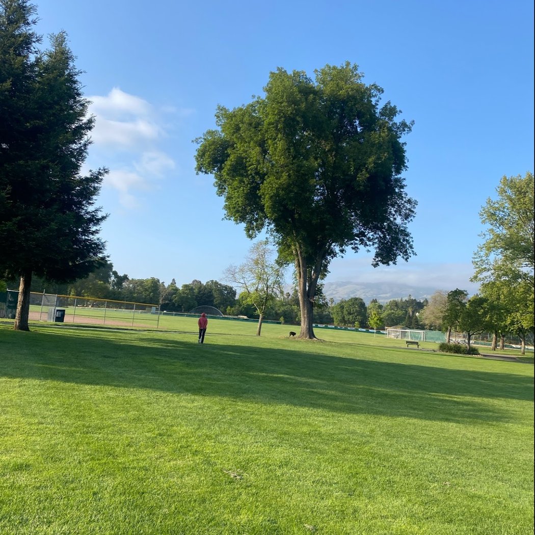 Osage Park Tennis & Pickleball Courts 2