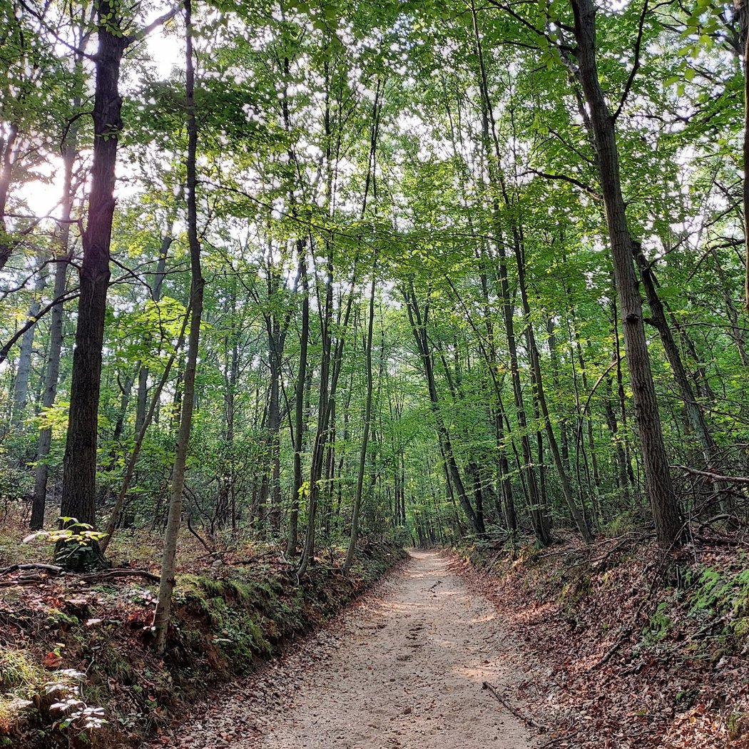 West Hills County Park 1