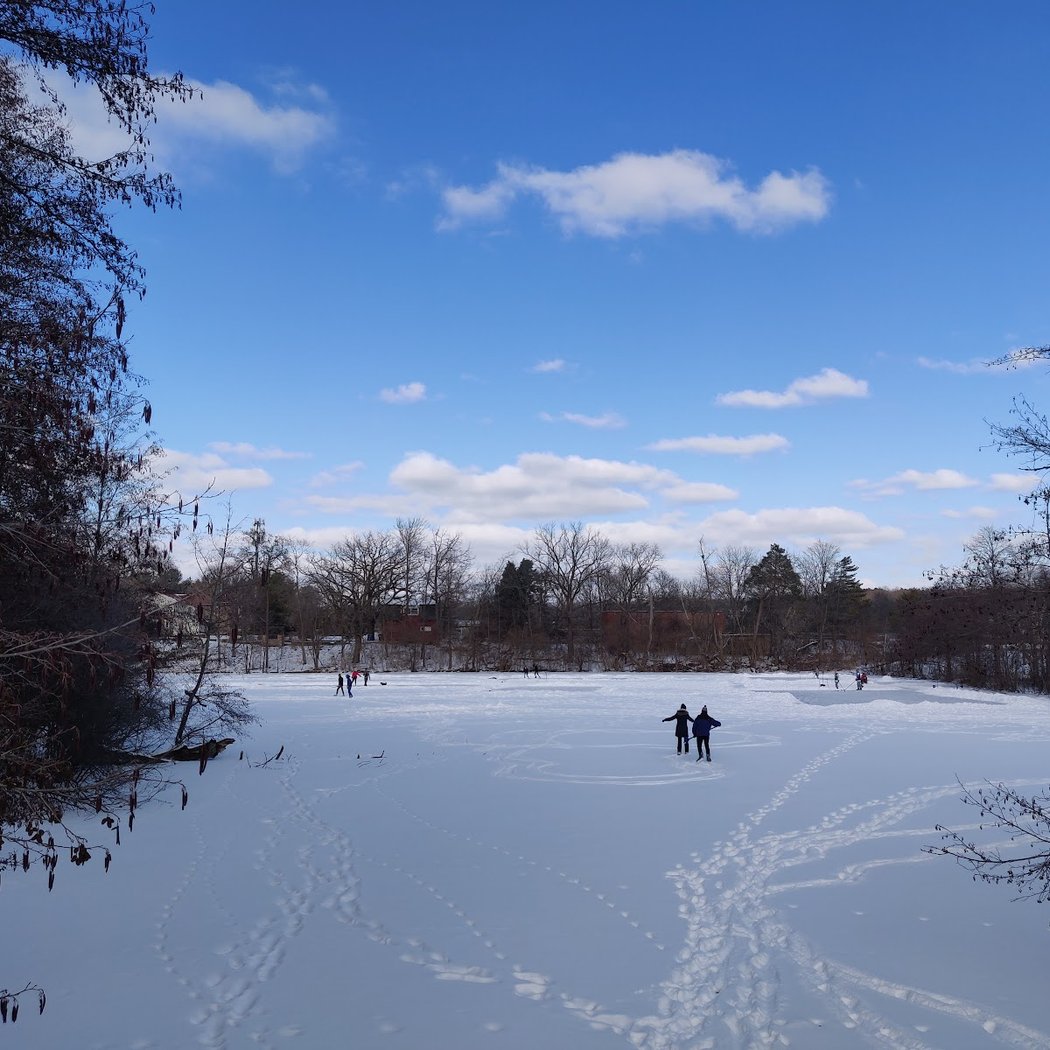 Meet Your Parks with Natural Area Preservation: Winter Bird Walk 1