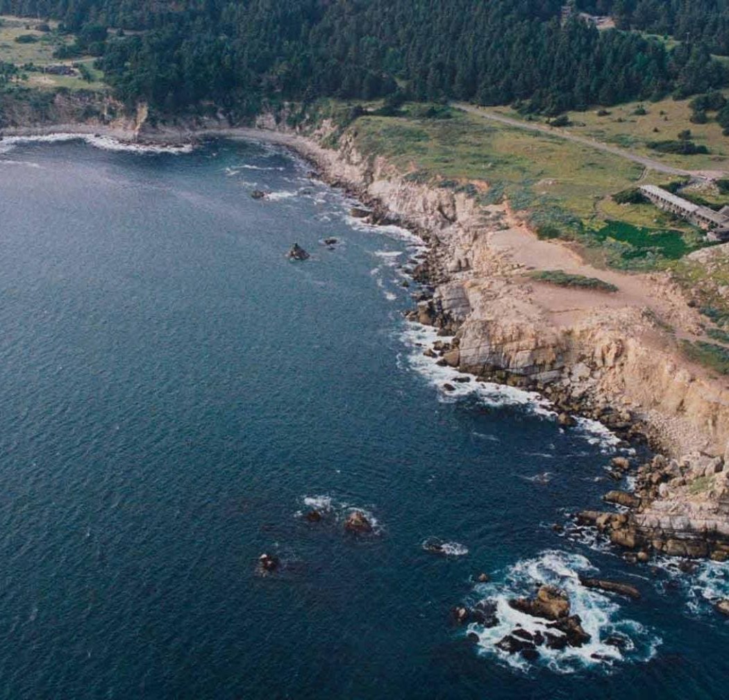 Timber Cove 1