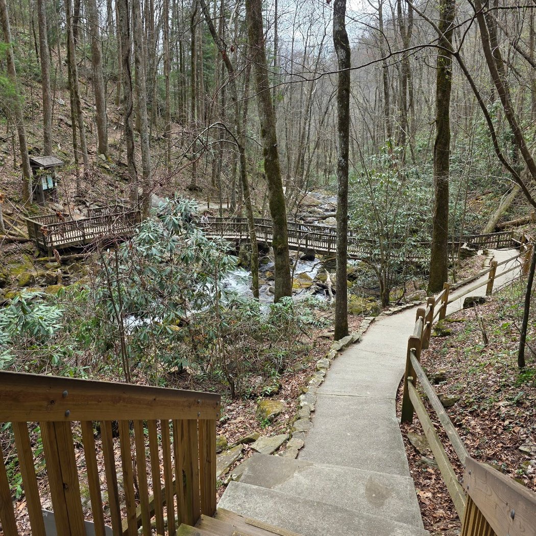 Anna Ruby Falls Recreation Area 2