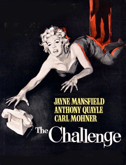 THE CHALLENGE 1