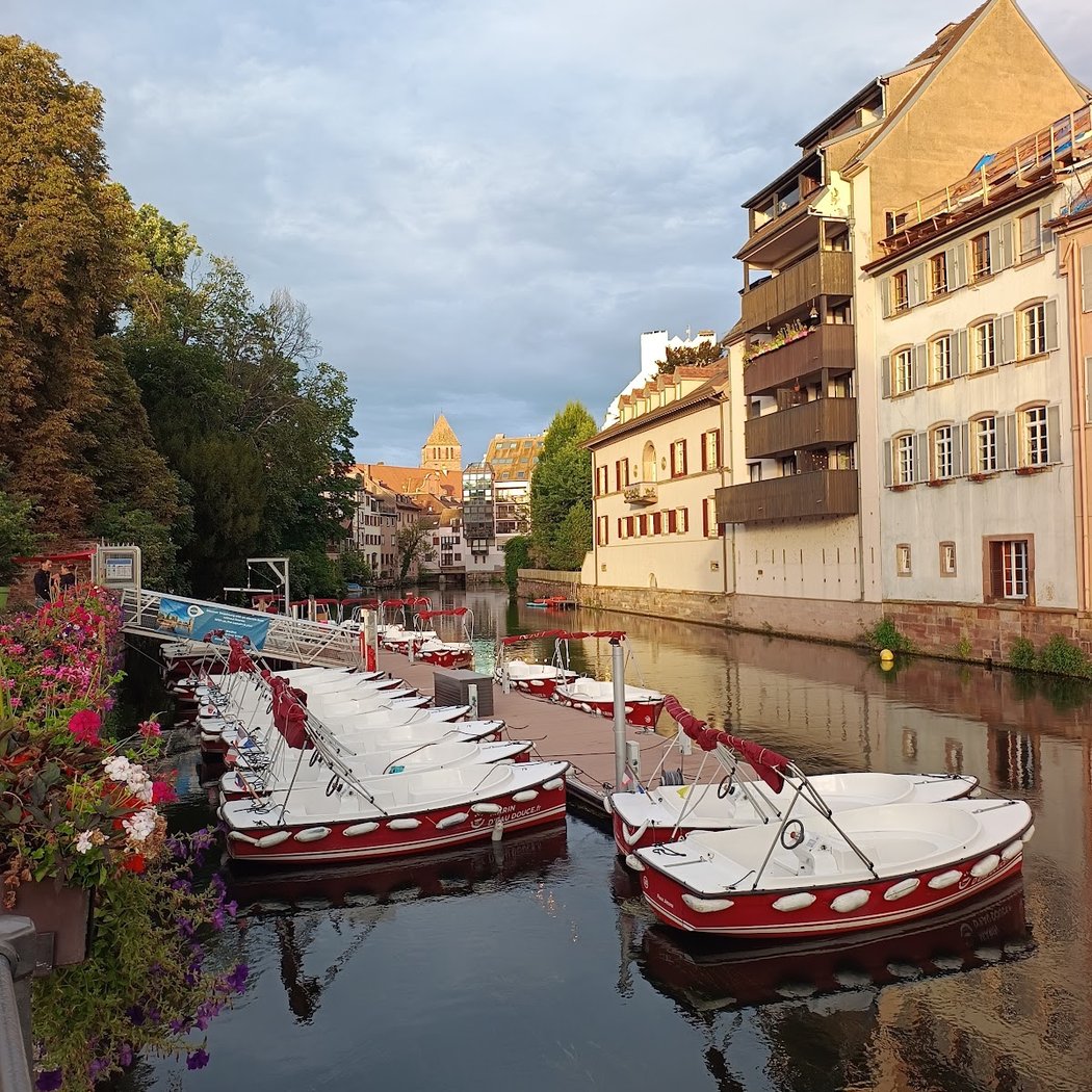 Marin D'Eau Douce Strasbourg 3