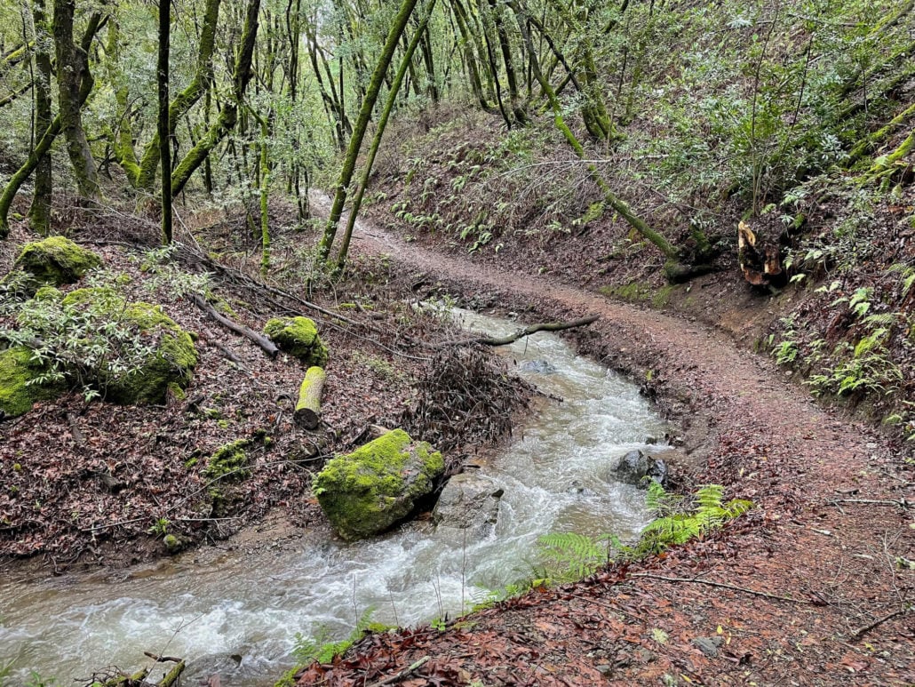 Hidden Villa Hiking Trails 2