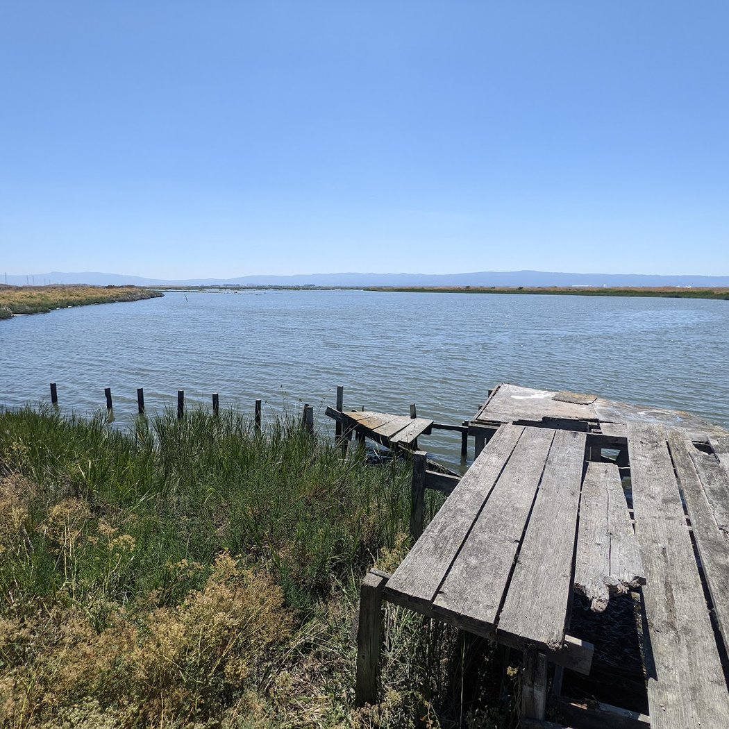 Coyote Creek Lagoon Trl 1