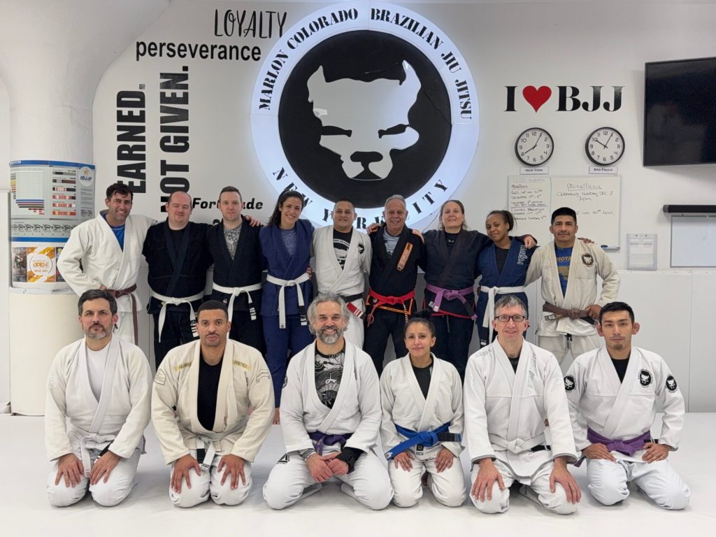 Evening Classes (BJJ) 3