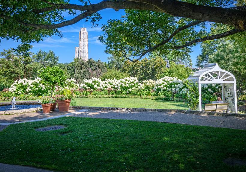 Yoga in the Garden 1