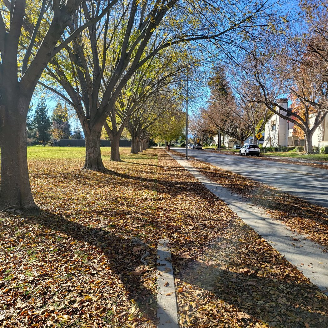 Townsend Park 2