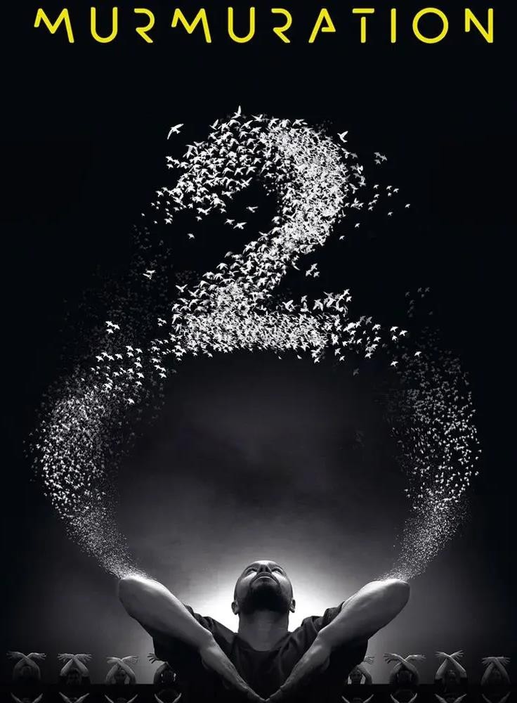 Sadeck Berrabah : Murmuration Level 2 1