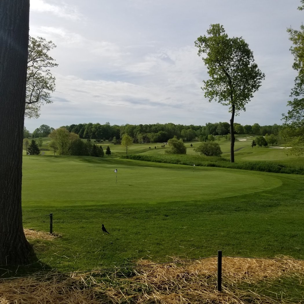 Ravenwood Golf Club 2