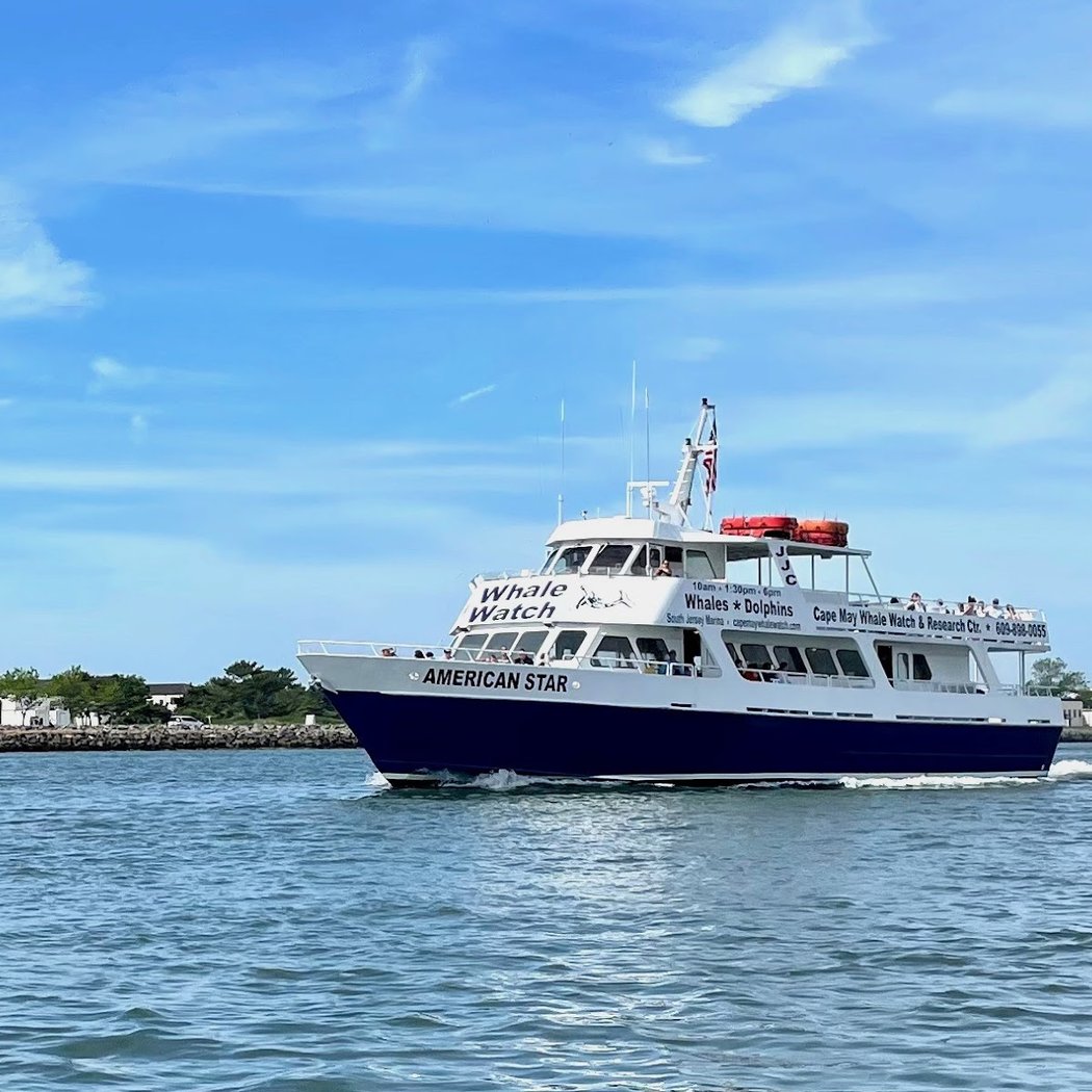 Cape May Whale Watch & Research Center 2