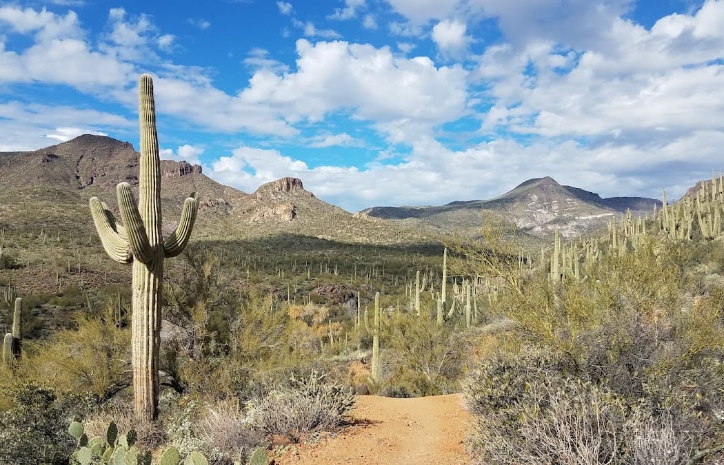 Spur Cross Ranch Conservation 1