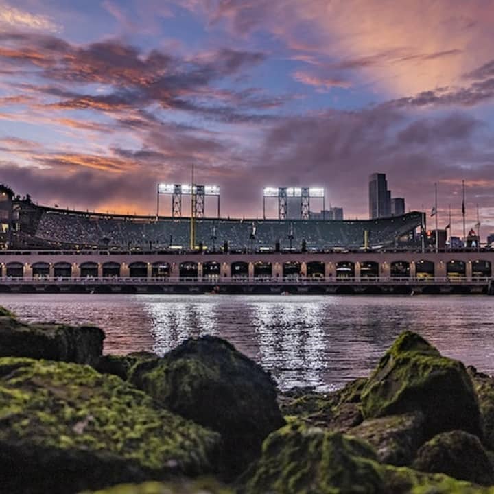San Francisco Giants Game at Oracle Park 5
