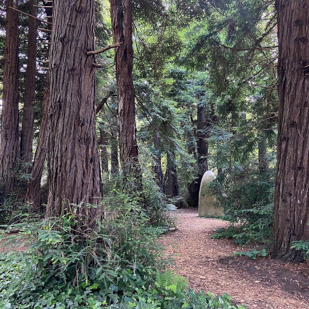 Redwood Memorial Grove 2