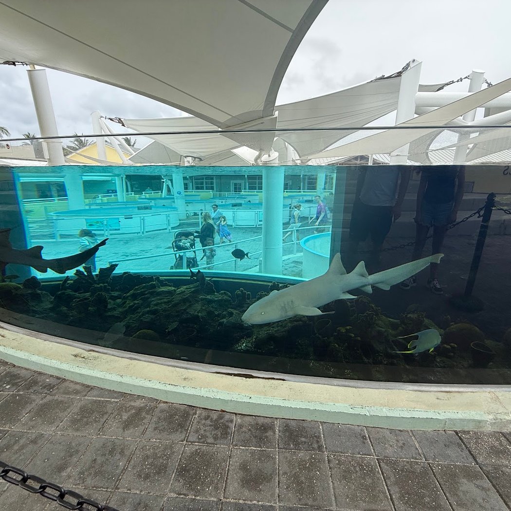 Loggerhead Marinelife Center 3