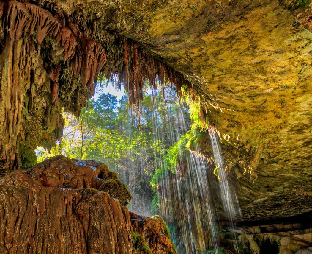 Westcave Outdoor Discovery Center 1