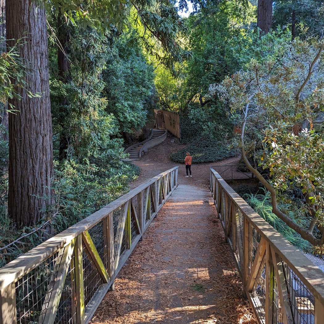 Codornices Park 1