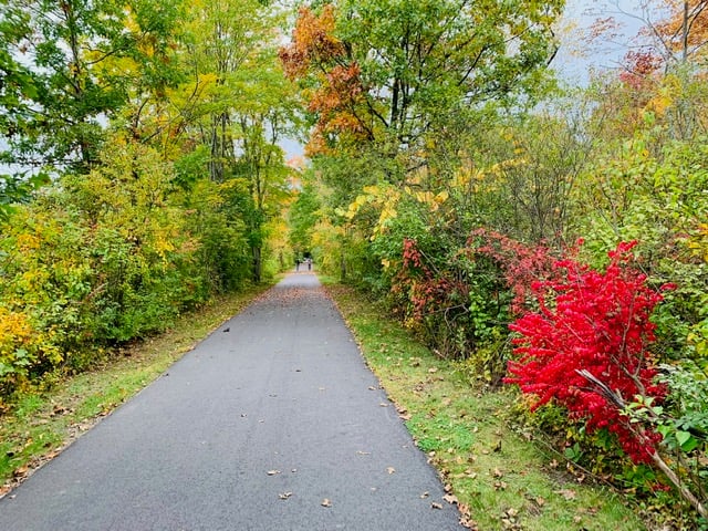 South County Trailway 1